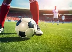 缅甸国家队,工作人员新,冠检测阴性,QiuYou,Sports,QY球友会,QY球友会体育入口,QY球友会官网,QY球友会体育APP下载