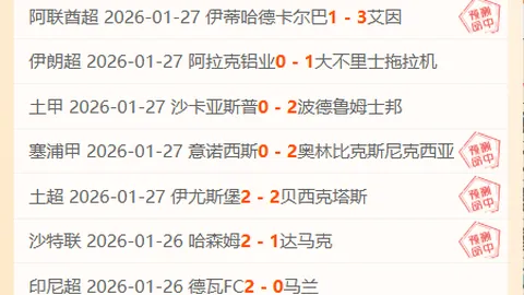 意大利足球甲级联赛官方直播网站