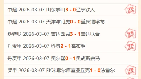 肖爱华、张雨霏体坛巨星履新职务启航