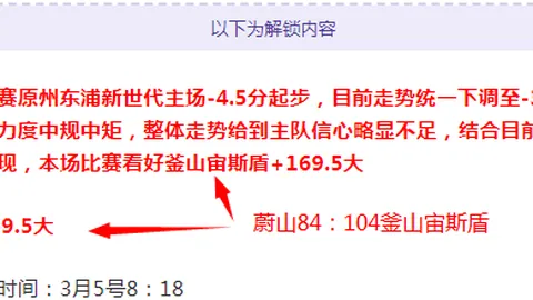 赛车冠军揭秘：安全装备深度解析